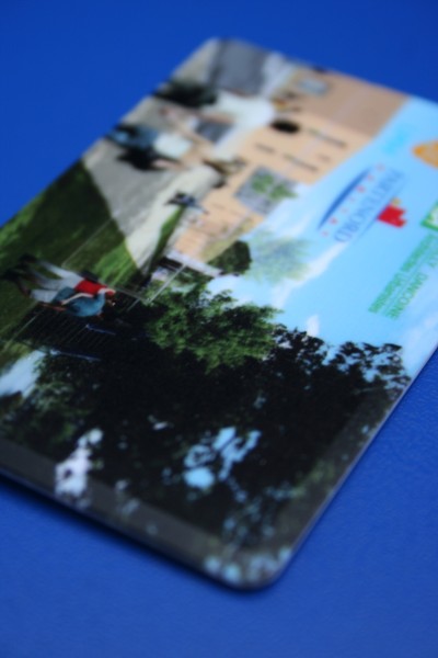Carte de visite avec 2Go de données numériques